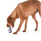 c3f3a33ee1a1fc8f5af001311d211f31.png