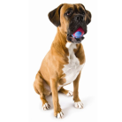 f5eeaaa4924b2c9434a783c9f55f8a0f.png